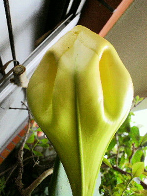 2011051111330000_2_2