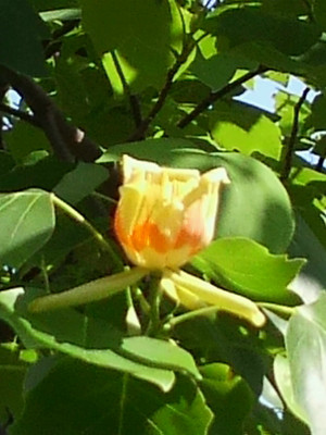 Dcim0035_2 Dcim0035_2