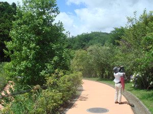 Dsc09928_2 Dsc09928_2