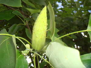 Dsc09937_2 Dsc09937_2