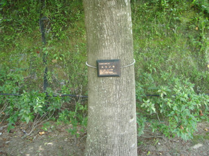 Dsc09941_2 Dsc09941_2