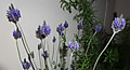 1dsc04888_2