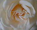 1dsc05031_2