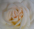 1dsc05032