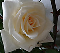 1dsc05034