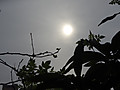 Dsc05013