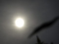Dsc05014