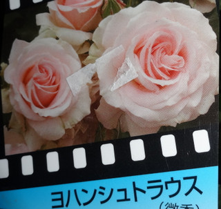 1dsc09276