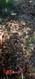 1dsc09500_4