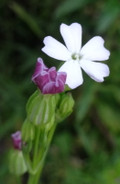 1dsc09022