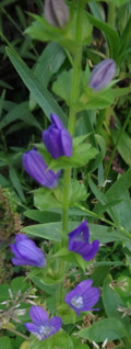 1dsc09023