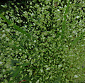 1dsc09028_4