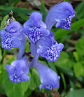 1dsc09133001