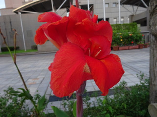 1dsc03170
