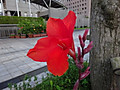 1dsc03171