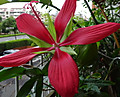 09dsc03375_2