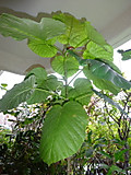 13dsc03379