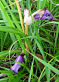 1dsc03546_3