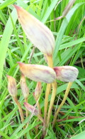 1dsc03548_3
