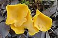 1dsc03573_2