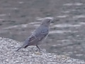 46dsc03830