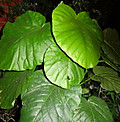 1dsc04273
