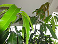 1dsc04278