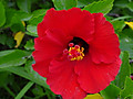 1dsc04292