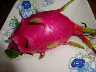 06dsc05183_2 06dsc05183_2