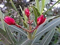05dsc05305