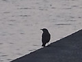 10dsc05310001