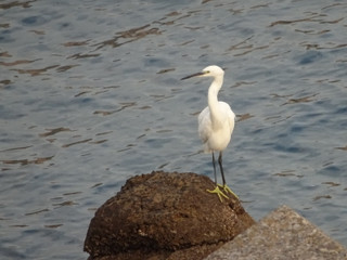 55dsc05355