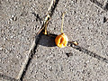 067dsc05691_2