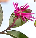 1dsc06922001