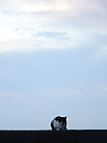 1dsc07771_3