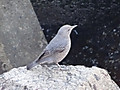 1dsc07790_2