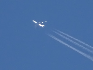 1dsc07851_2