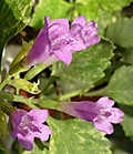 1dsc07930_2