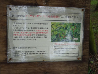 1dsc09897