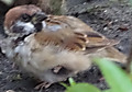 1dsc05481