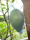 1dsc05721