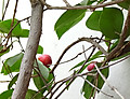 1dsc05725