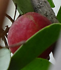 1dsc05726