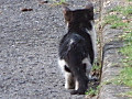 1dsc06522_2
