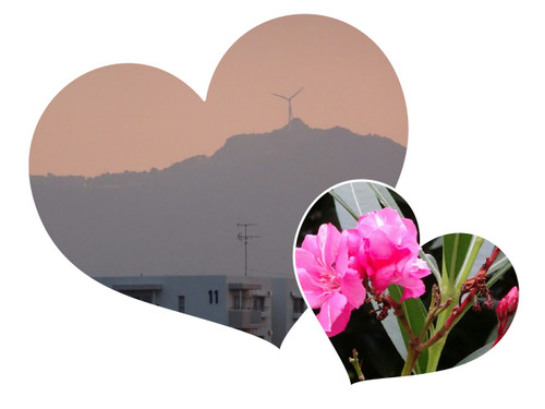 Collage1471890470165_2