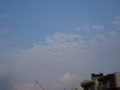 01dsc07691 01dsc07691