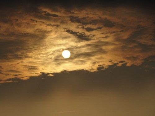 07dsc07700 07dsc07700