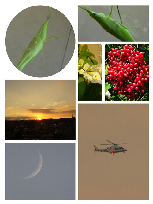 Collage1473098555344