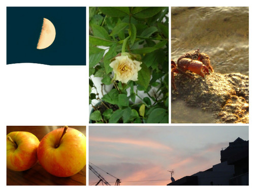 Collage1473550039105_2