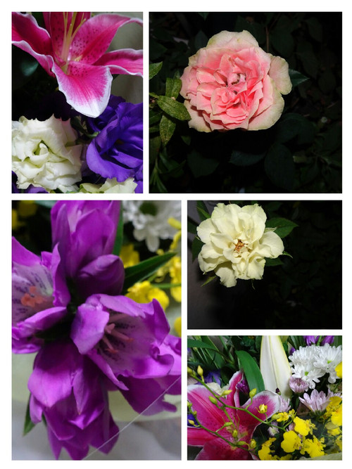 Collage1474209775713_2